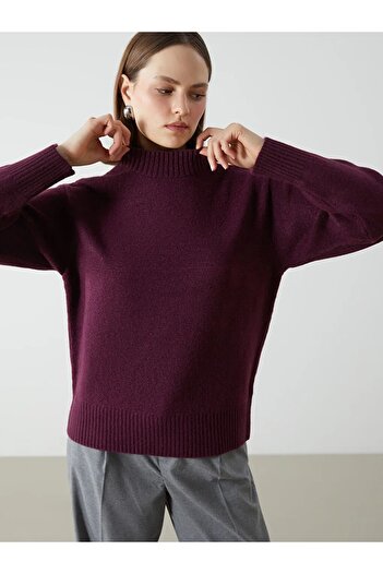 LC Waikiki Lcwaikiki Classic Purple Stand Collar Women's Knitwear Sweater
