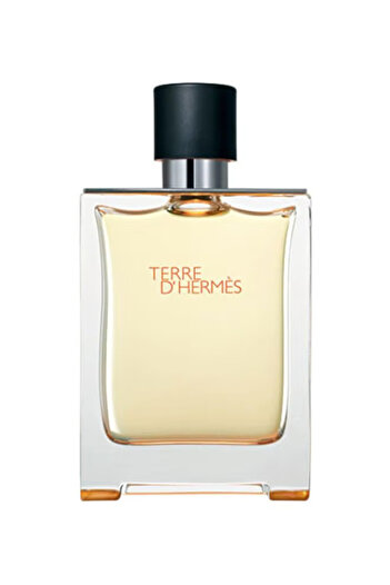 Hermes Terre D' Hermes EDT 100ml