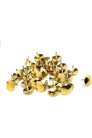 Bilsan Gold Colored Metal Fastener, Pack of 30
