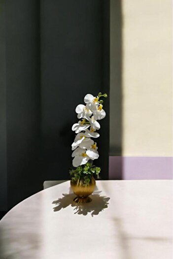 SEVEREVİM floare