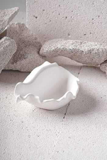 ALCSTORE Seashell Oyster Decorative Box