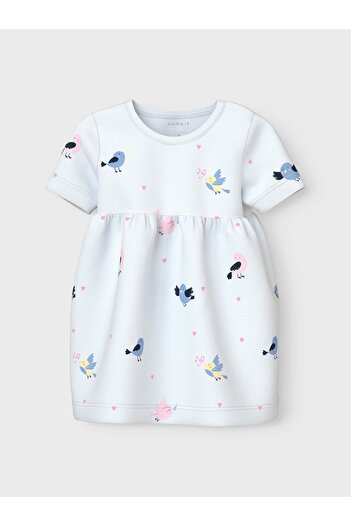 name ıt NBFVANDORA SS DRESS BOX
