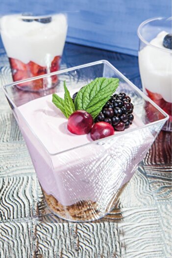 BeySüS Cubic Prism Bowl Mica Plastic Transparent Lid Presentation Container 24 Pieces 240 Cc
