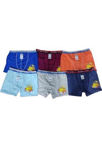 Pardon Boys Boxer 12 Pieces