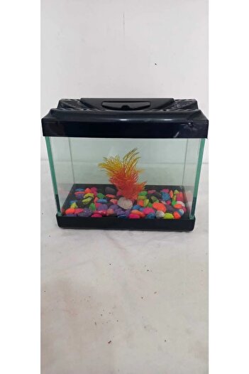 Akvaryum Mini Aksesuarlı 20 Cm 4 Litre Karışık