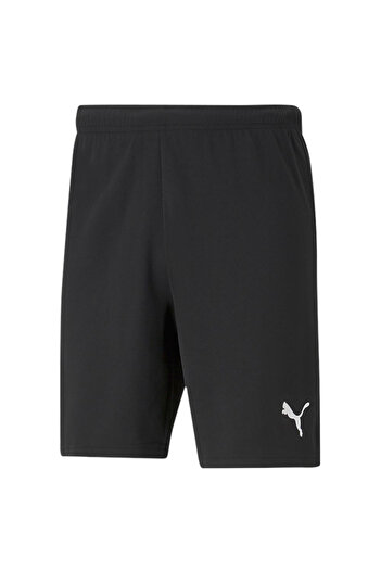 Puma Mužské vícebarevné fotbalové šortky Team Rise70494204