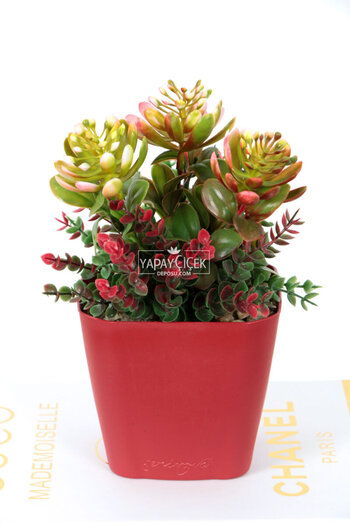 Yapay Çiçek Deposu Artificial Flower Boxwood Cactus Decor 15 cm Green-Red