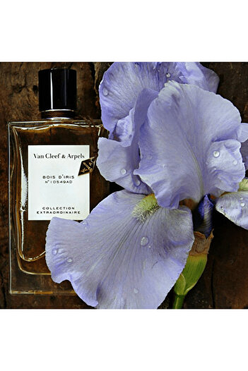 Van Cleef & Arpels Van Cleef and Arpels Extraordinaire Bois d Iris For Women - Eau De Parfum75ml