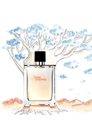 Hermes Terre D Hermes For Men - Eau De Toilette100ml