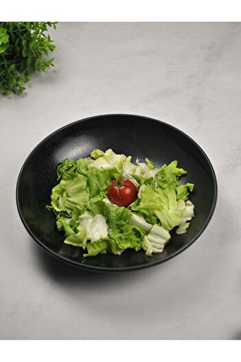 Qualitev 25 cm Black Porcelain Salad Plate - Pit Serving Presentation Bowl