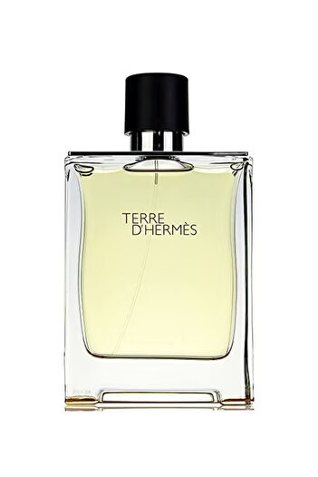 Hermes Terre D'Hermes EDT 100ml