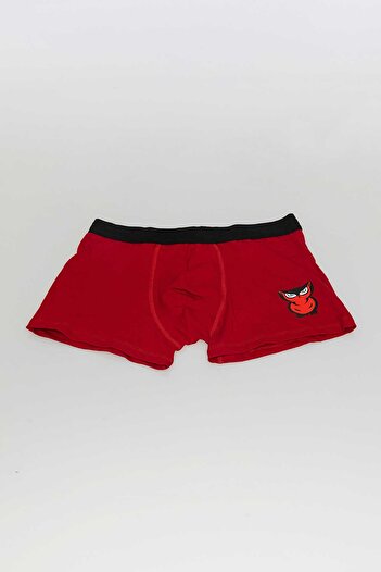 redowl Men's 4-Piece Boxer Advantageous Pack