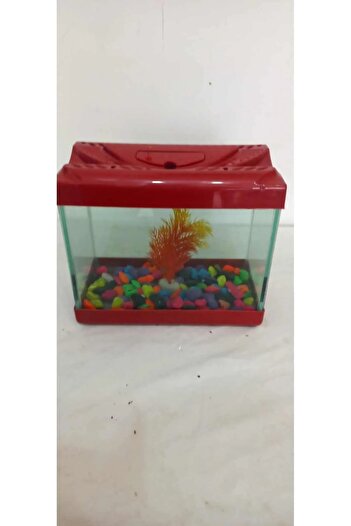 Akvaryum Mini Aksesuarlı 20 Cm 4 Litre Karışık