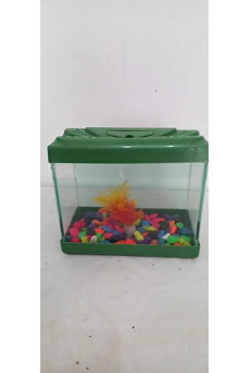 Akvaryum Mini Aksesuarlı 20 Cm 4 Litre Karışık