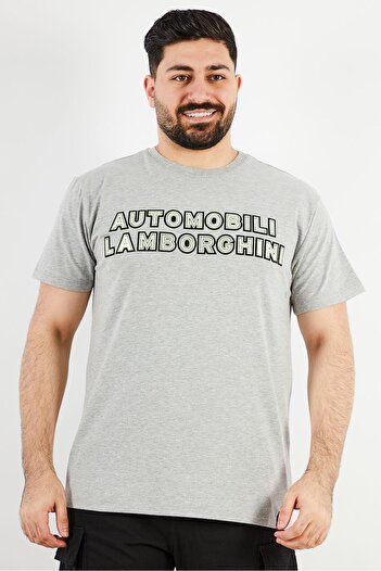 Lamborghini Men Crew Neck Short Sleeves Brand Logo T-Shirt, Grey