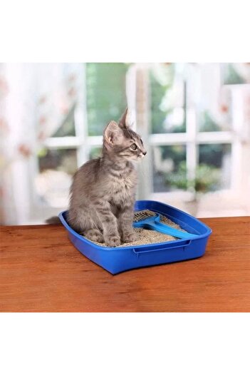 Pro Line Proline Pudralı 5lt Bentonit Kedi Kumu Bebek Pudralı Topaklanan Ince Taneli Kedi Kumu