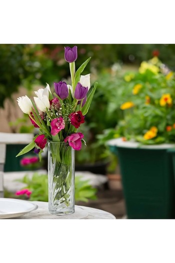 Jenisa Transparent Glass Flower Vase – Aesthetic and Luxurious Decoration