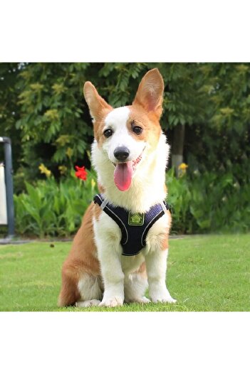 Choice M navy blue Reflective Pet Harness And Leash Set For Dog & Cat, No Pull Dog Vest Harness With Breath