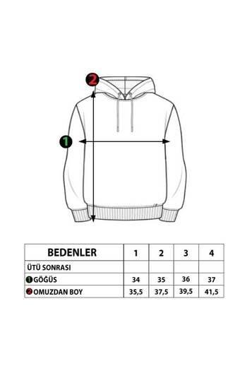 Toontoy Girl's Colorblock Hooded Sweatshirt