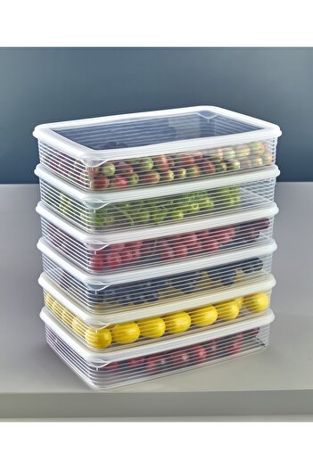 ASlife Home 2.3 Liter Airtight Storage Container - 6 Deep Freezer