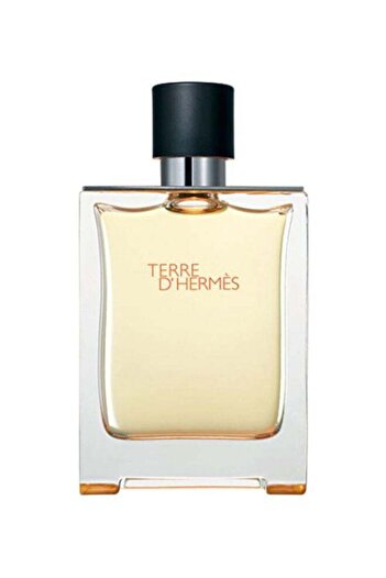 Hermes Terre D' Hermes EDT 100ml