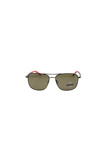 Serengeti Spello 8796 Sunglasses for Men