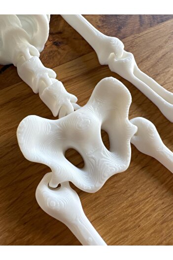 WELLCUT 31 cm 3D Baskı İnsan İskeleti Modeli – Dekoratif ve Koleksiyonluk