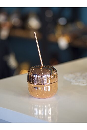 Bakır Concept Apple Forma Copper Cocktail Cup and Straw