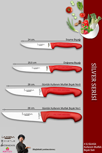 LAZBİSA Silver Serisi Mutfak Bıçak Seti Et Ekmek Sebze Bıçağı 4 Lü Set Günlük Kullanım ( Mtf-205)