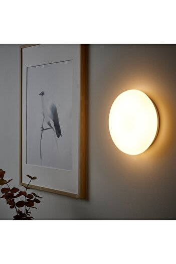 erorex LED ceiling/wall lamp, smart wireless dimmable/warm white white, 24 cm