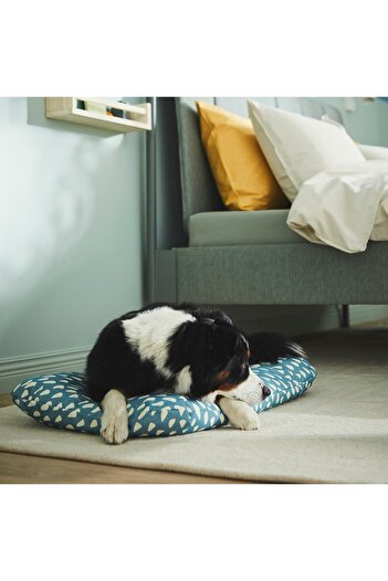 erorex Pet cushion, blue, 48x75 cm