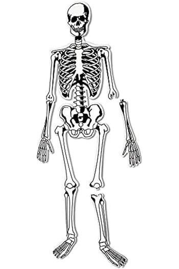 Learning Resources Skeleton Foam Floor Puzzle-LER3332