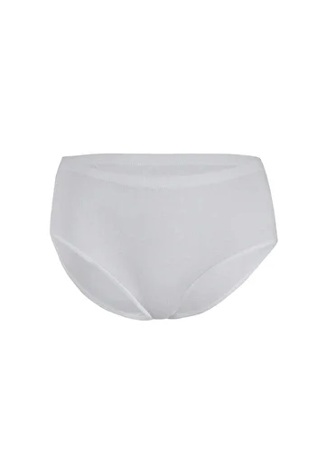 Yıldız İç Giyim Star 3580-8 High Waist Women's Bato Panties