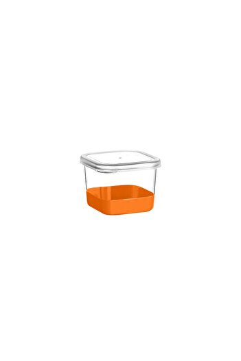 Cosiness Deep Freezer Storage Container