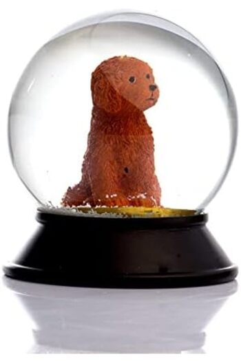 STOREMAX Glass and Resin Paws Dog Toy Poodle (Cinnamon) Snow Globe Gift