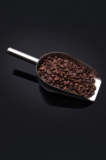 Chavin Steel 24.5 cm No: 3 Flat Base Spice Nuts Pulses Ration Shovel Cin982