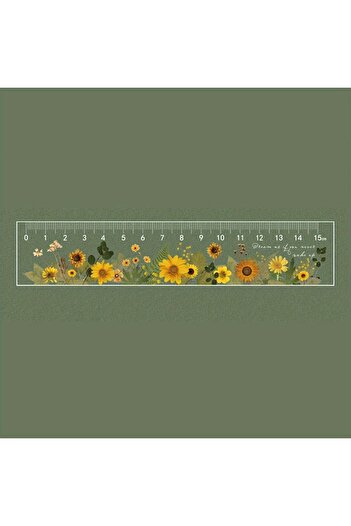 Choice 02 Clear Acrylic 15cm School Ruler with Centimeters - Durable and Easy-to-Read