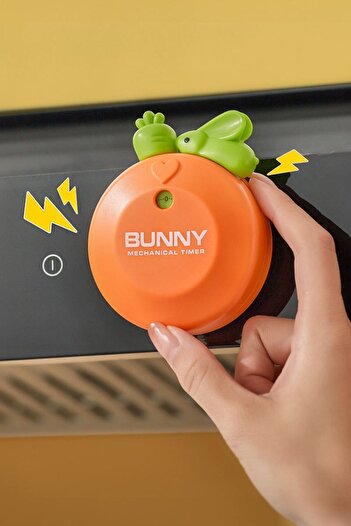 Weather Forecast Yeşil Tavşan Mekanik Zamanlayıcı Timer Çocuklar İçin Çalar Saat Dakika thr375