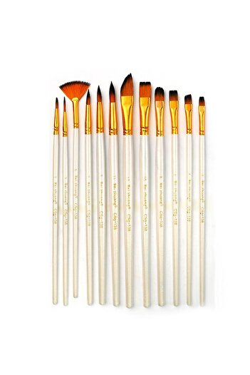 Weather Forecast 12 Pieces Curved Oil Nylon Brush Set - Acrylic and Watercolor Set cin683by
