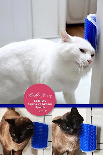 GOBYPET Practical Cat Feather Scratching and Crawling Apparatus Wall Mounted Scratching Tool, Mint Herb Gift