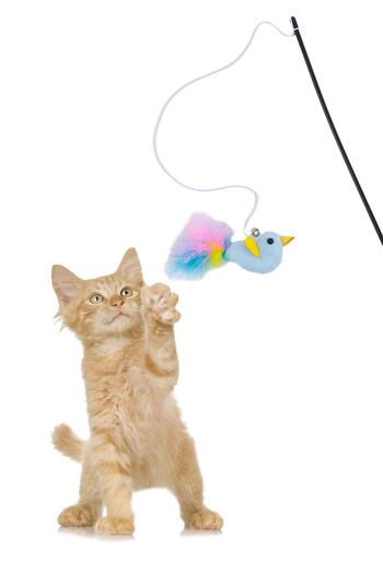 GOBYPET Furry Cat Fishing Rod, Plush Blue Bird Cat Play Fishing Rod