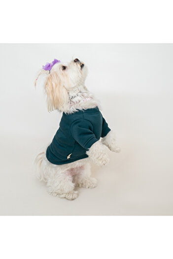 Buddy Store Cat and Dog Outfit Clothes - Duffy & Queen Duo Pack Indigo Blue & Petrol Green Pack