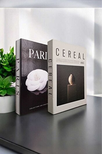 BayCazip Decorative Book Look Box Set of 2 Decorative Book Looking Box