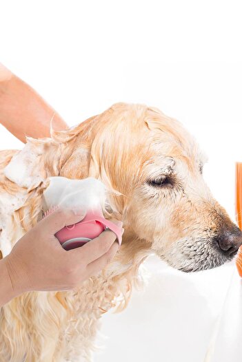 GOBYPET Cat and Dog Pet Washing Brush with Shampoo Tank Silicone Pink