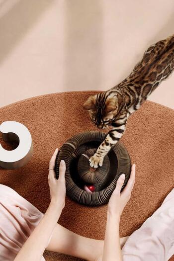 GOBYPET Magic Cat Toy - Scratching and Rattle Board