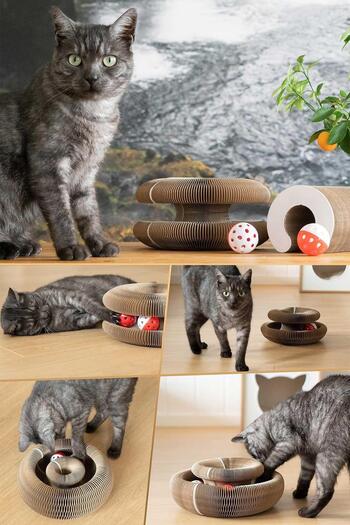 GOBYPET Magic Cat Toy - Scratching and Rattle Board