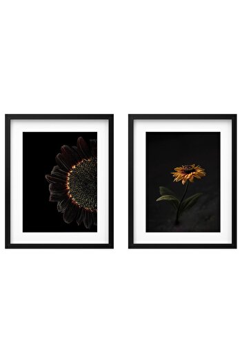 erorex Frame with poster, sunflowers, 40x50 cm