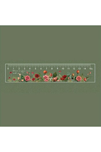 Choice 03 Clear Acrylic 15cm School Ruler with Centimeters - Durable and Easy-to-Read