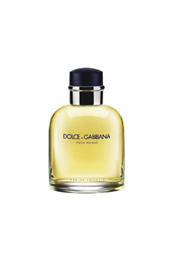 Dolce&Gabbana Pour Homme perfume for men 125 ml 737052074450