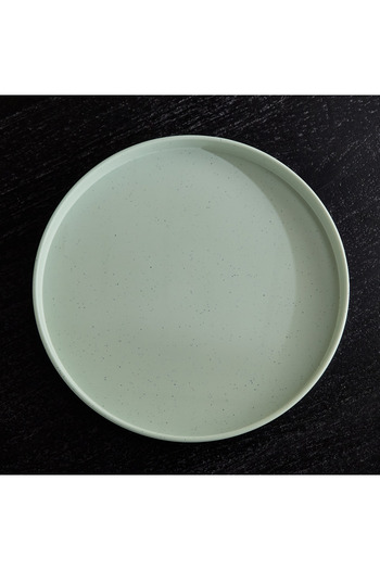 erorex Vanilla Speckle Dinner Plate